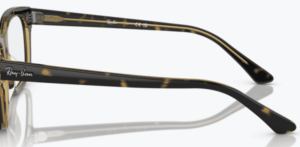 Branches originales Ray-Ban RB5383, couleur 8285 · Havane sur transparent