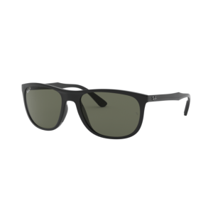 Ray-Ban RB4291