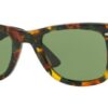 1159-spotted-green-havana