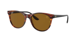 Ray-Ban RB2202M, couleur F66733 havane