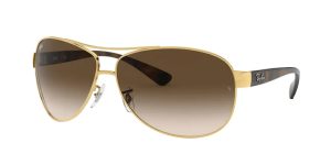 Ray-Ban RB3386, couleur 001/13 · Arista