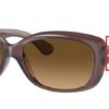 6593-transparent-dark-brown