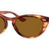 954-light-tortoise