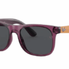 706987-transparent-violet