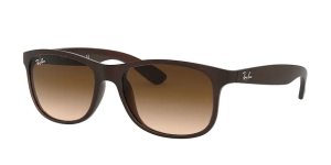Ray-Ban RB4202 ANDY, couleur 607313 marron mat sur marron