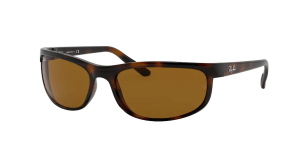 Ray-Ban RB2027 PREDATOR 2, couleur 650833 havane foncé