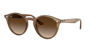 Ray-Ban 2180, couleur 616613 · Turtledove