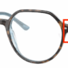 1316-havana-on-light-blue