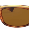954-light-tortoise