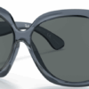 81-gray-polarized-plastic