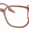 8171-brown-on-transparent