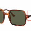 954-light-tortoise