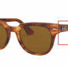 954-light-tortoise