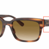 954-light-tortoise