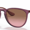 659114-transparent-violet