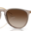 674413-transparent-light-brown