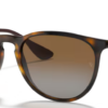 710-t5-light-havana