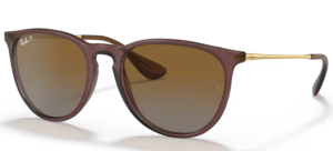 Ray-Ban 4171 ERIKA, couleur 6593T5 · Transparent marron foncé