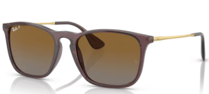 Ray-Ban RB4187 CHRIS, couleur 6593T5 · Transparent marron foncé