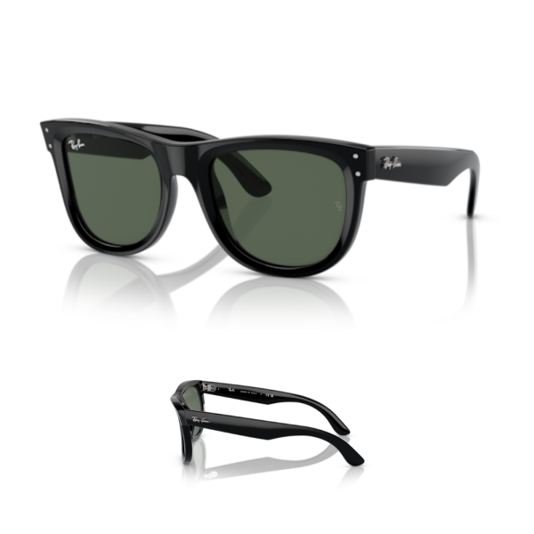 Branches Ray-Ban 0502S WAYFARER REVERSE Originales