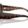 1292-havana-on-transparent-brown