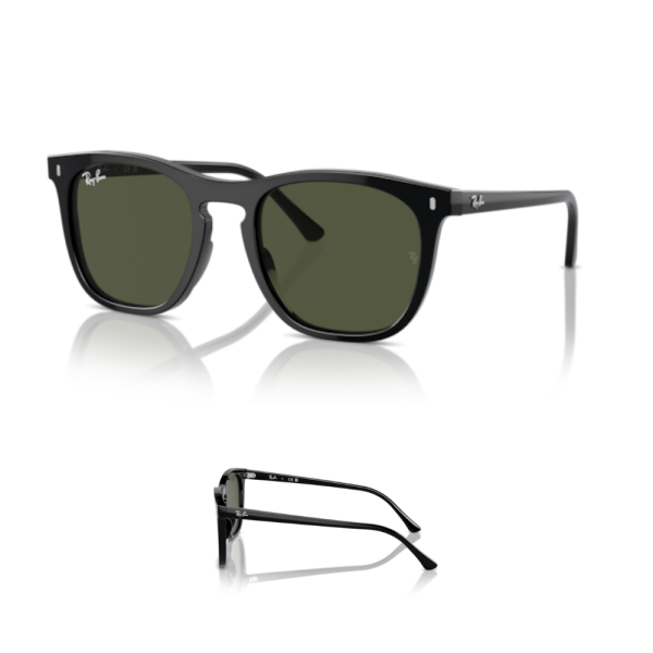 Branches Ray-Ban 2210 Originales