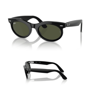 Branches Ray-Ban 2242 WAYFARER OVAL Originaux