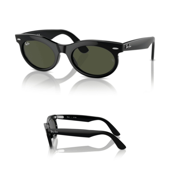 Branches Ray-Ban 2242 WAYFARER OVAL Originales