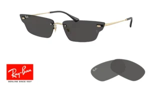Verres Ray-Ban 3731 ANH Originaux