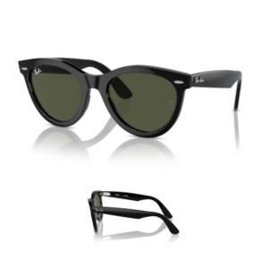 Branches Ray-Ban 2241 WAYFARER WAY Originaux