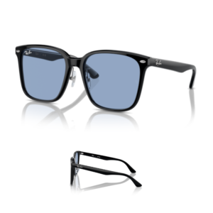 Branches Ray-Ban 2206D Originaux