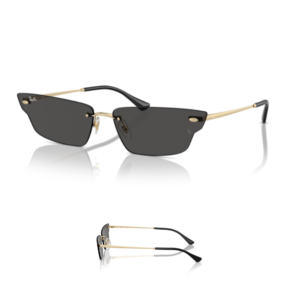 Branches Ray-Ban 3731 ANH Originaux