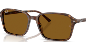 Verres originaux Ray-Ban RB2231 Raimond, couleur 33 · Marron uni
