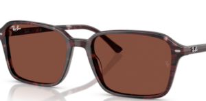 Verres originaux Ray-Ban RB2231 Raimond, couleur C5 · Rouge