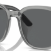 81-gray-polarized-plastic
