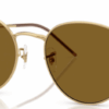 83-polarized-brown-plastic