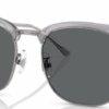 81-gray-polarized-plastic