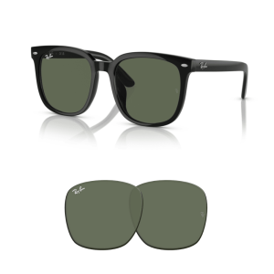Verres Ray-Ban 4401D Originaux
