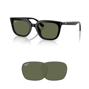 Verres Ray-Ban 4439D Originaux