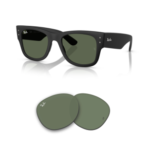 Verres Ray-Ban 4840S Originaux