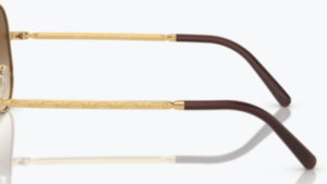 Branches originales Ray-Ban RB3637 New Round, couleur 001 · Arista