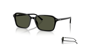 Branches Ray-Ban 2231 RAIMOND Originaux