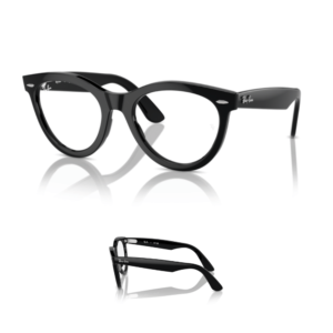 Branches Ray-Ban 2241V - WAYFARER WAY Originaux