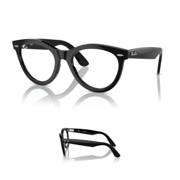 Branches Ray-Ban 2241V - WAYFARER WAY Originales