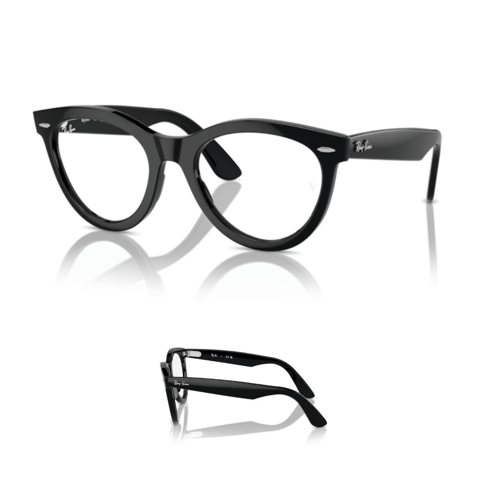 Branches Ray-Ban 2241V - WAYFARER WAY Originaux