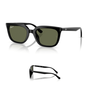 Branches Ray-Ban 4439D Originaux