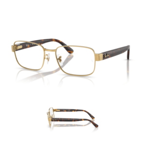 Branches-Ray-Ban 6529 Originaux