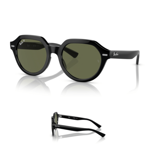 Branches Ray-Ban 4399 GINA Originales