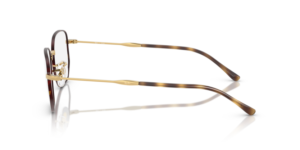 Branches originales Ray-Ban RB6496, couleur 3177 · Havane sur arista