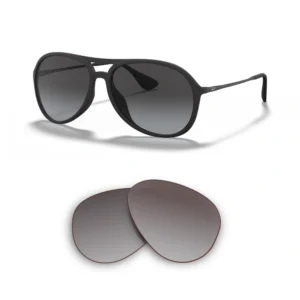 Verres Compatible Ray-Ban 4201